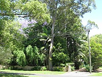 Forested Residence